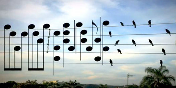 Fly1