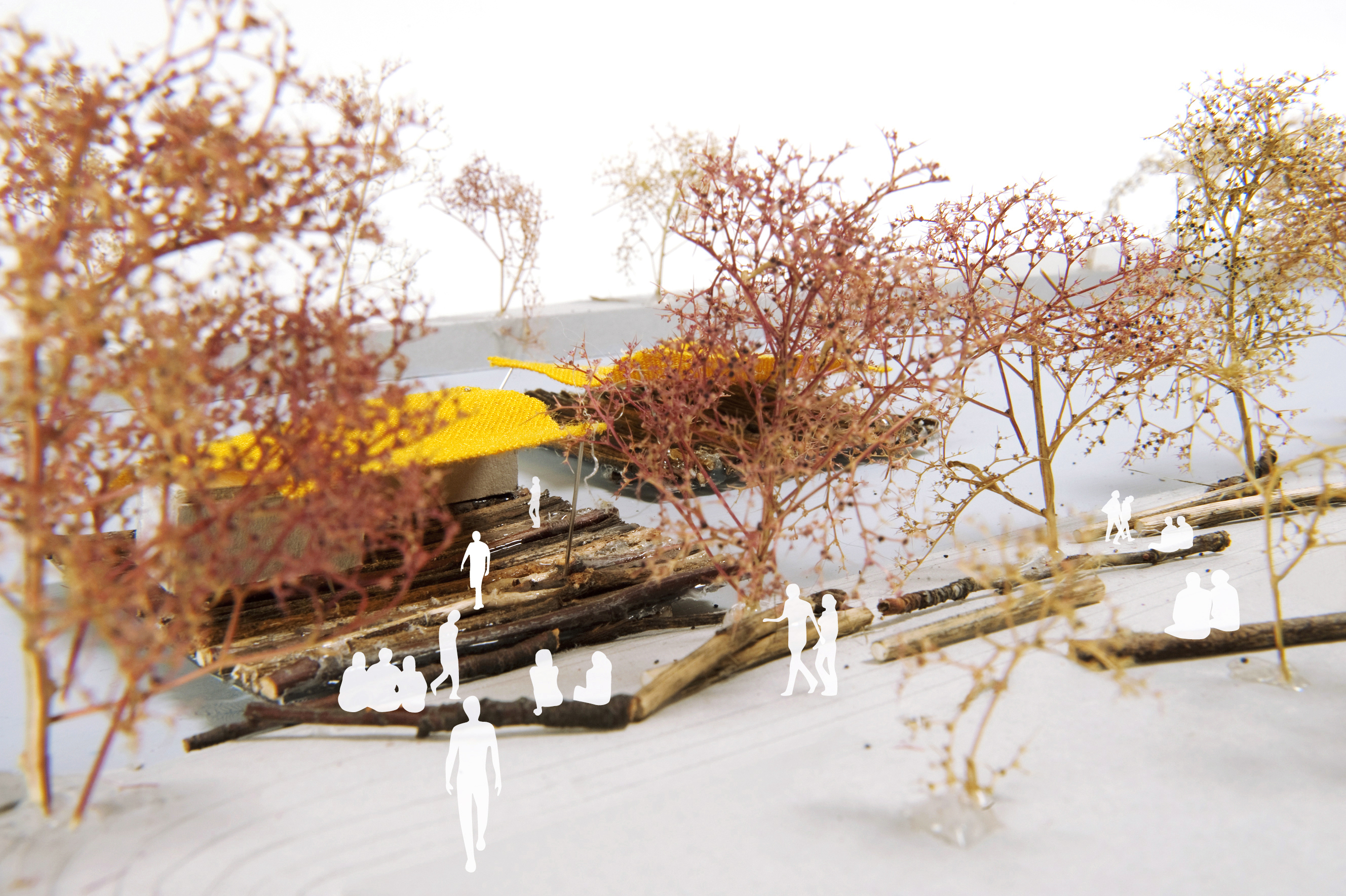 8_1_kulturfloss_montage_graupner_carrell